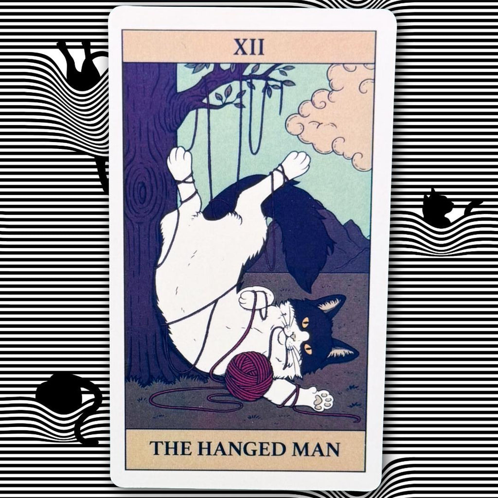 Cats Rule The Earth Tarot 78-card deck for the feline-obsessed and intuitively attuned | Metta-Blessed™