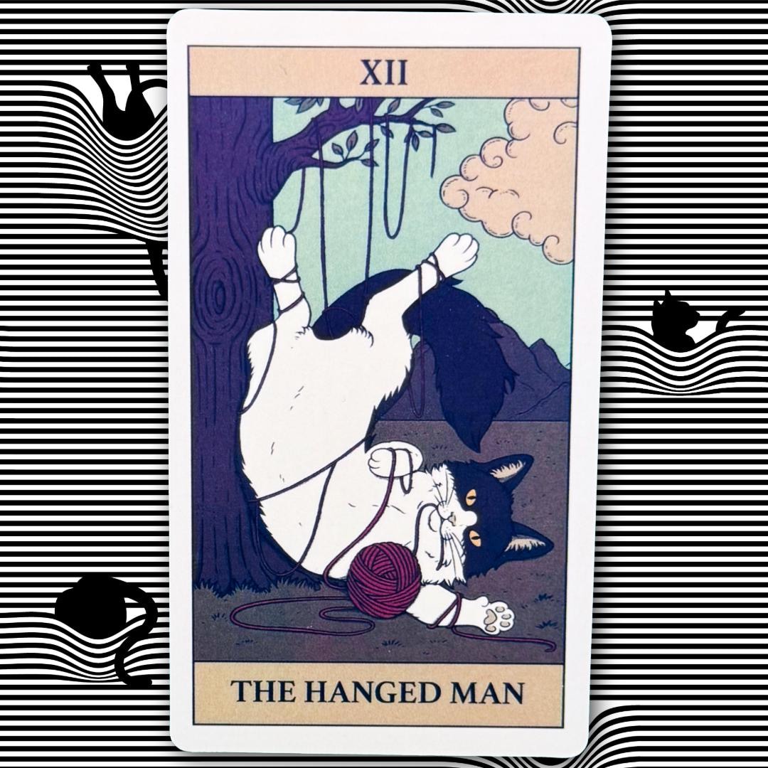 Cats Rule The Earth Tarot 78-card deck for the feline-obsessed and intuitively attuned | Metta-Blessed™