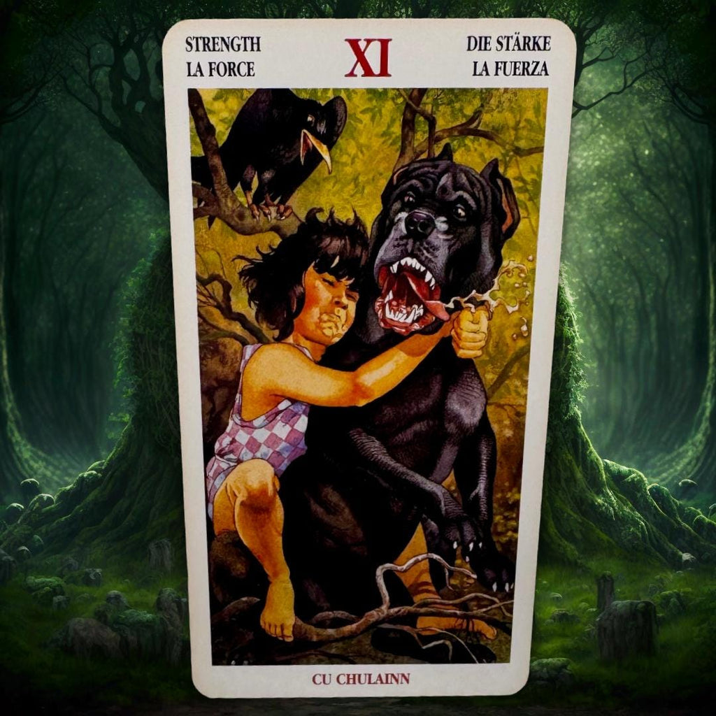 Celtic Tarot (2000 Lo Scarabeo) — Fintan Mac Bochra Edition | Practitioner’s Legacy | Worked Deck | Metta-Blessed™