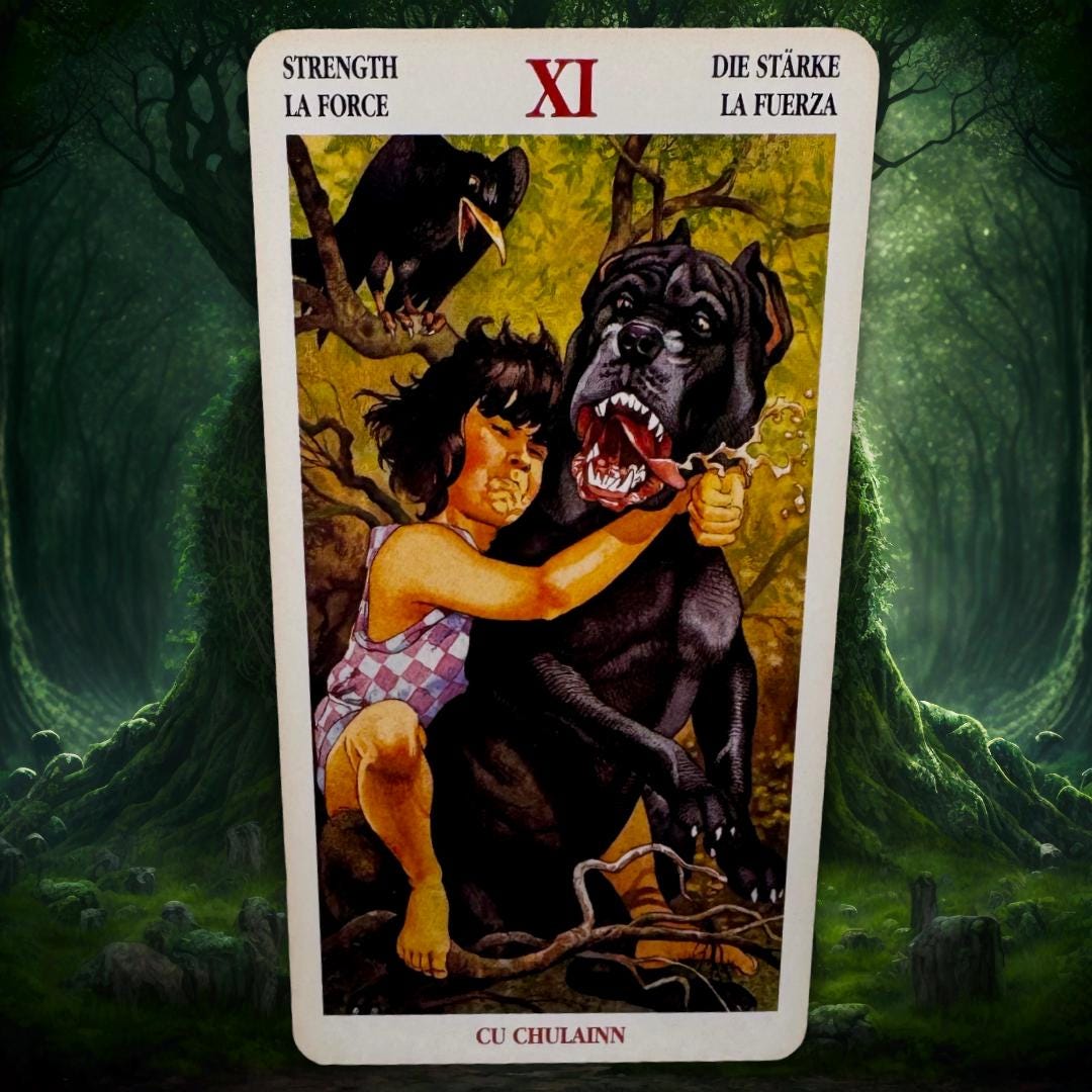 Celtic Tarot (2000 Lo Scarabeo) — Fintan Mac Bochra Edition | Practitioner’s Legacy | Worked Deck | Metta-Blessed™