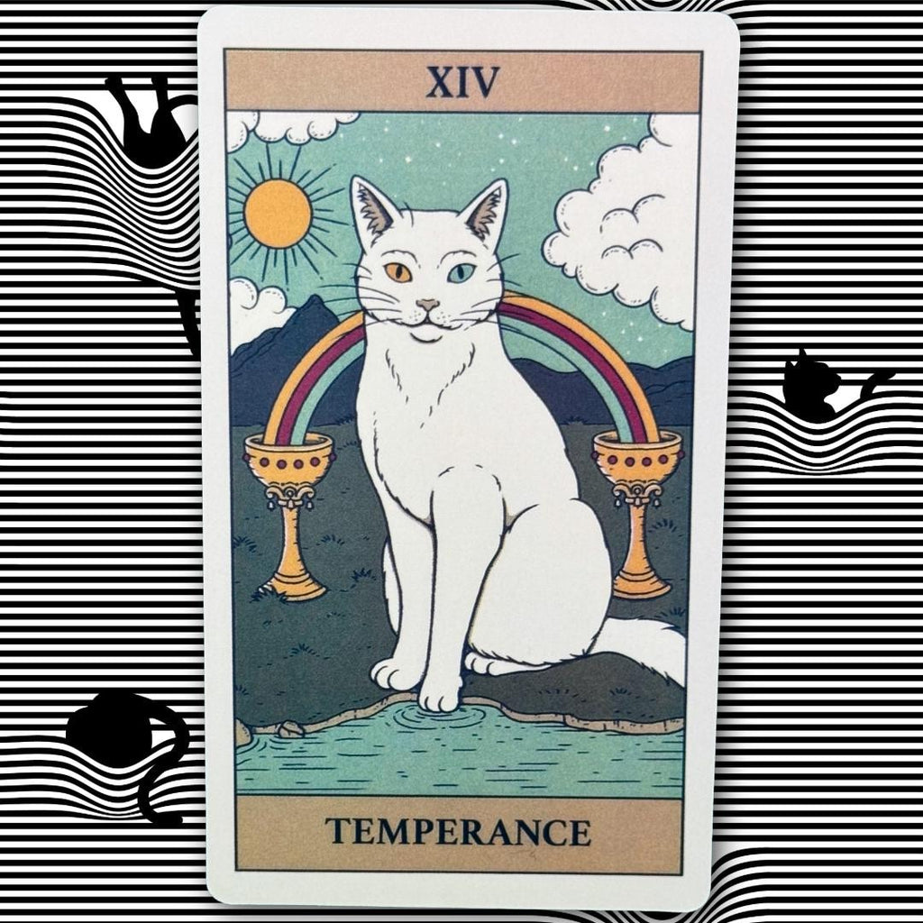 Cats Rule The Earth Tarot 78-card deck for the feline-obsessed and intuitively attuned | Metta-Blessed™