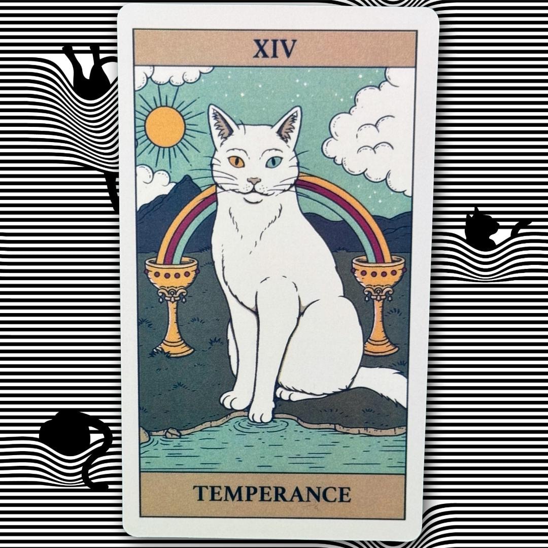 Cats Rule The Earth Tarot 78-card deck for the feline-obsessed and intuitively attuned | Metta-Blessed™
