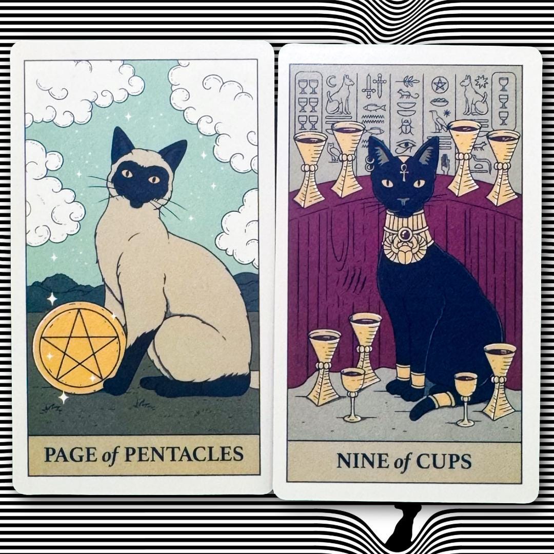 Cats Rule The Earth Tarot 78-card deck for the feline-obsessed and intuitively attuned | Metta-Blessed™