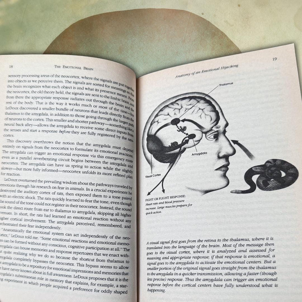 Emotional Intelligence — Daniel Goleman (1996 Bloomsbury Paperback) Book | Metta-Blessed™