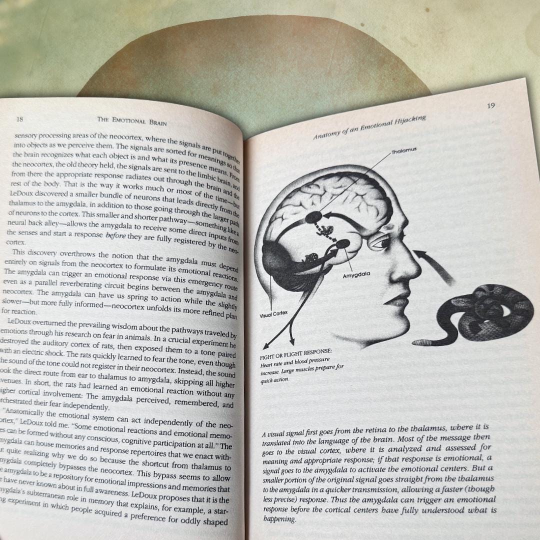 Emotional Intelligence — Daniel Goleman (1996 Bloomsbury Paperback) Book | Metta-Blessed™