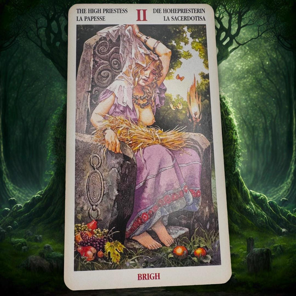 Celtic Tarot (2000 Lo Scarabeo) — Fintan Mac Bochra Edition | Practitioner’s Legacy | Worked Deck | Metta-Blessed™