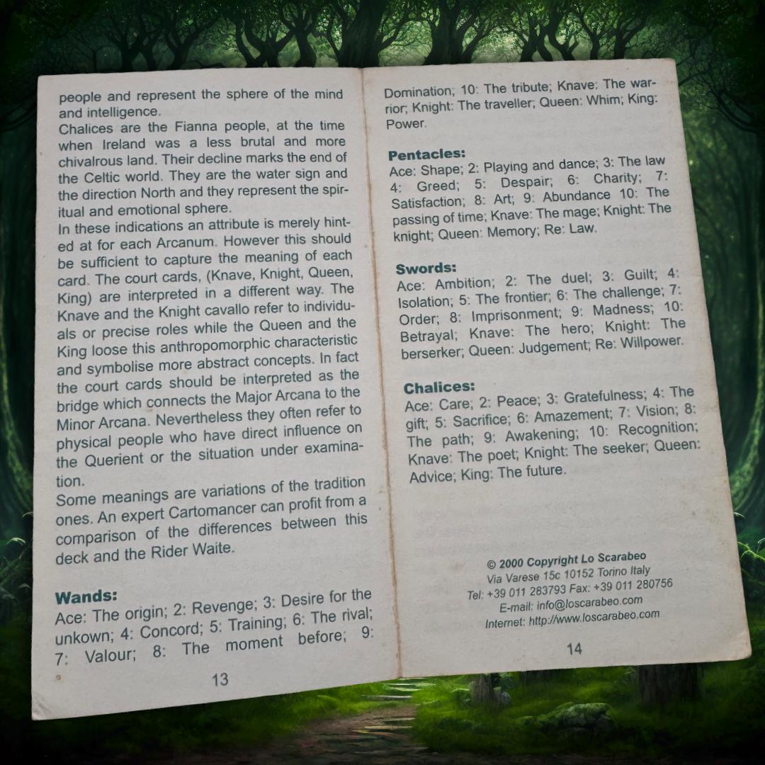 Celtic Tarot (2000 Lo Scarabeo) — Fintan Mac Bochra Edition | Practitioner’s Legacy | Worked Deck | Metta-Blessed™