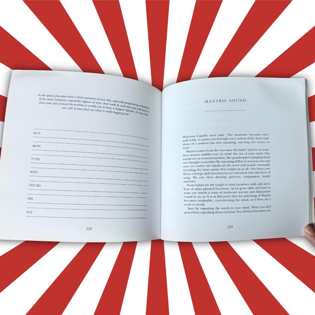 Betty Shine’s Mind Workbook — 1994 Corgi Edition | Metta-Blessed™