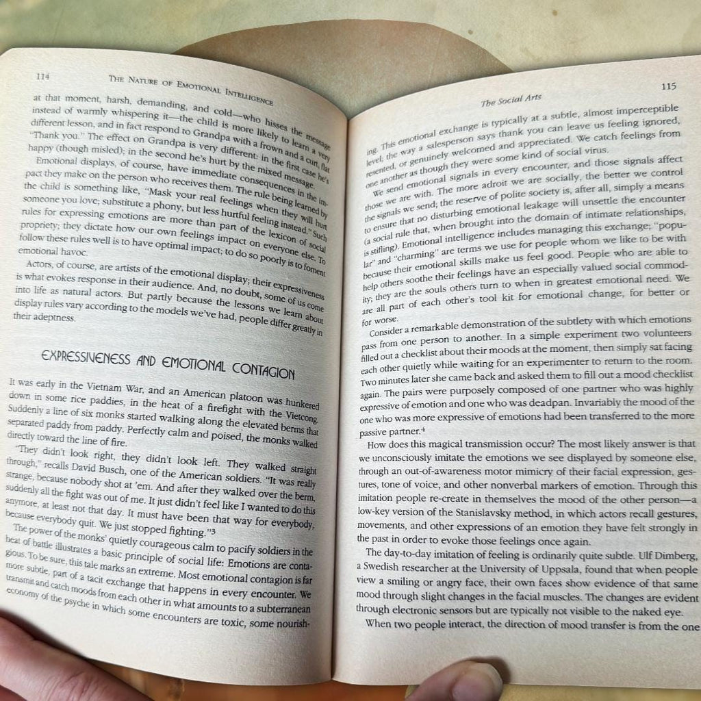 Emotional Intelligence — Daniel Goleman (1996 Bloomsbury Paperback) Book | Metta-Blessed™