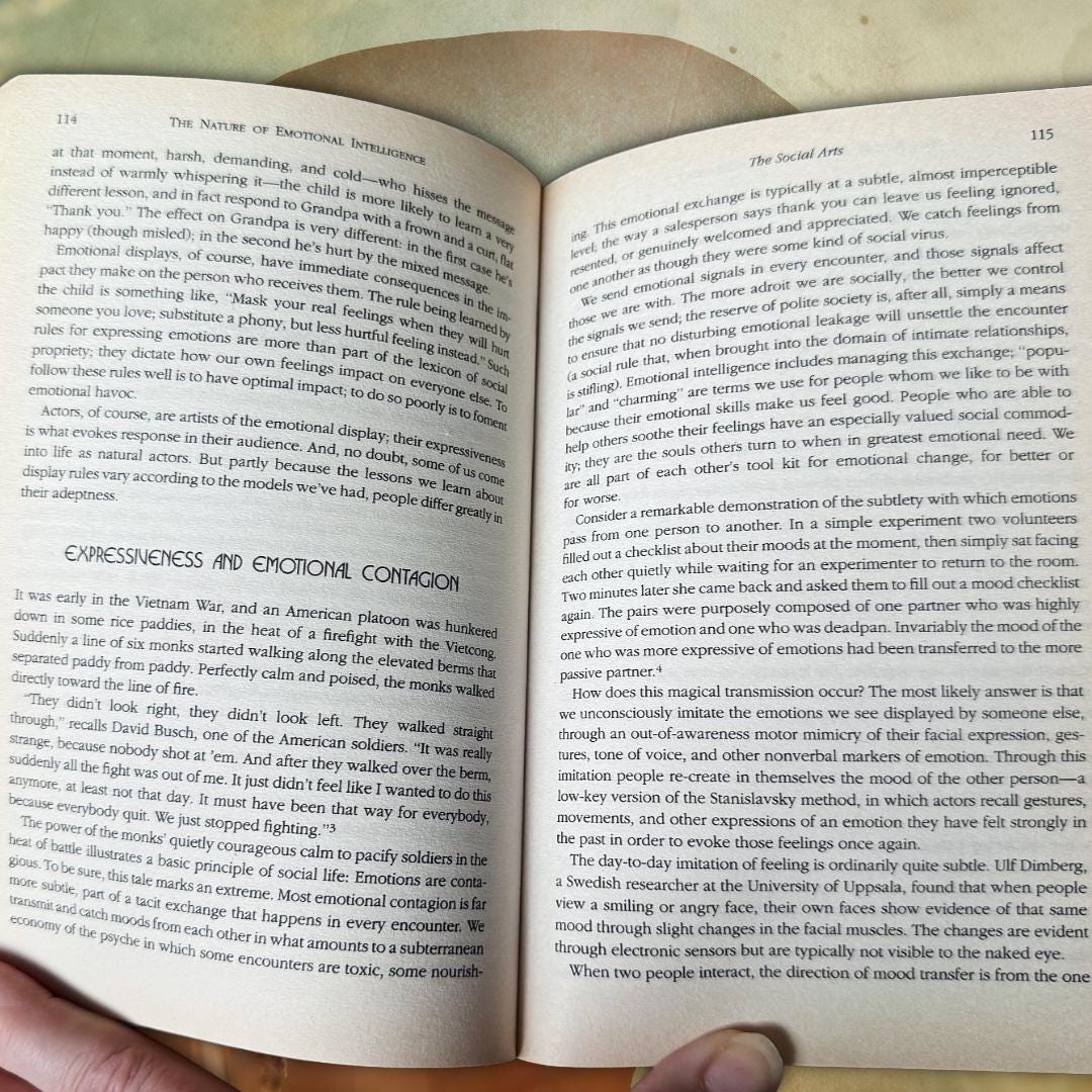 Emotional Intelligence — Daniel Goleman (1996 Bloomsbury Paperback) Book | Metta-Blessed™