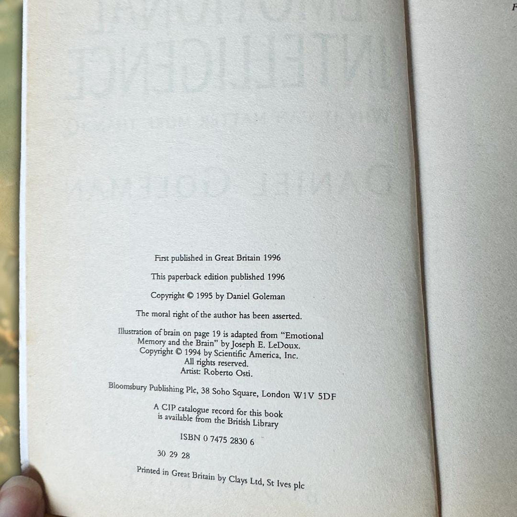 Emotional Intelligence — Daniel Goleman (1996 Bloomsbury Paperback) Book | Metta-Blessed™