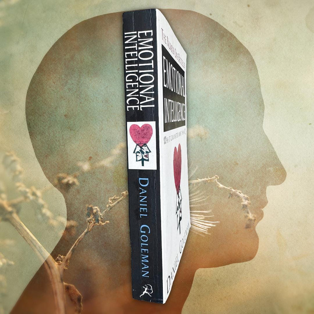 Emotional Intelligence — Daniel Goleman (1996 Bloomsbury Paperback) Book | Metta-Blessed™